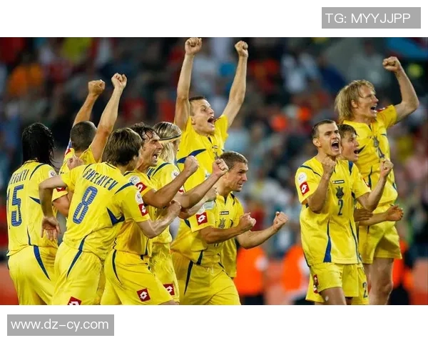 波黑足球明星盘点他们在国际赛场上的辉煌成就与影响力